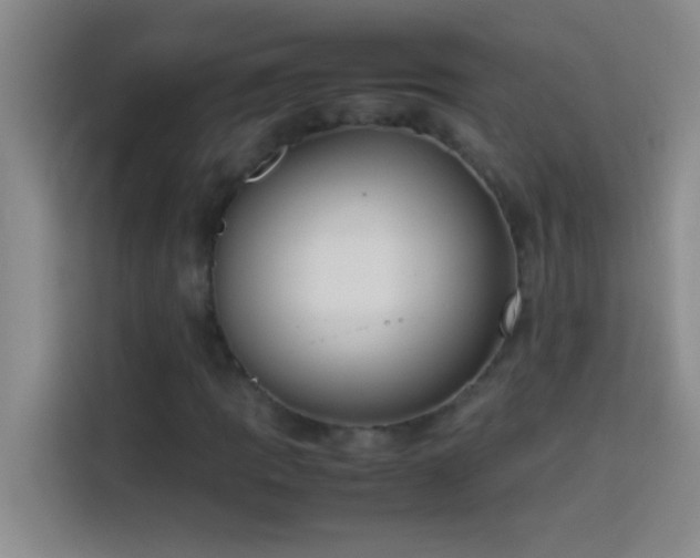 X0000113911109200910011443