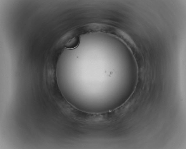 X0000113911111200910011443