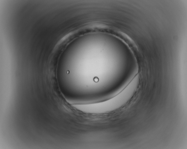 X0000113911112200910011443