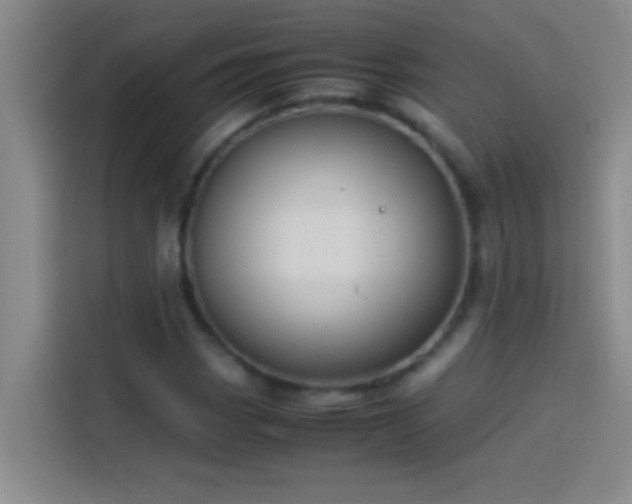 X0000113911113200910011443