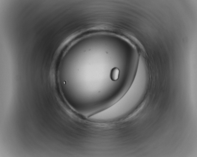 X0000113911114200910011443