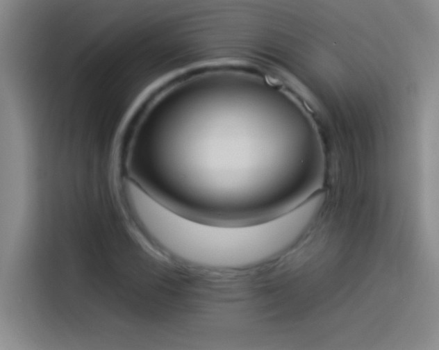 X0000113911116200910011443