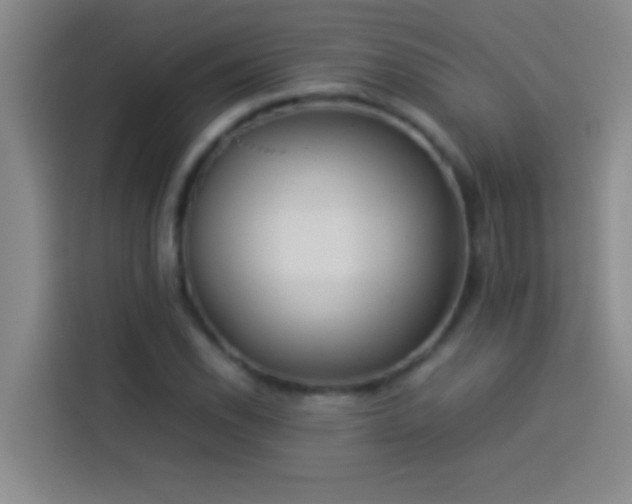 X0000113911118200910011443