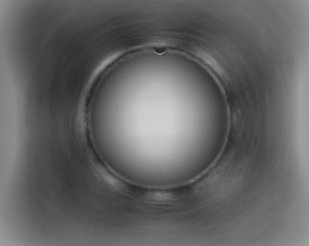 X0000113911119200910011443