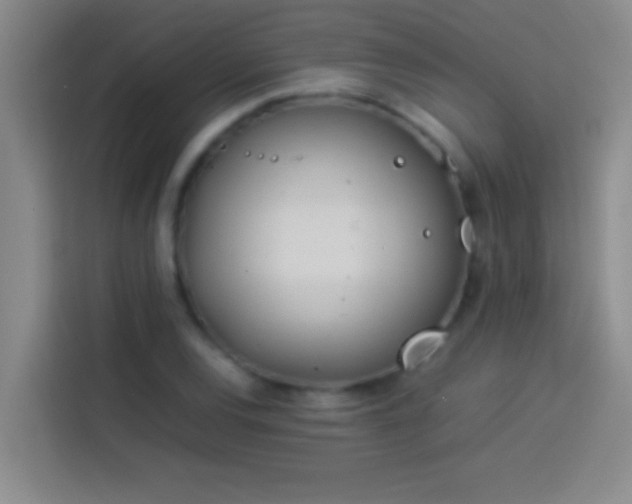 X0000113911120200910011443