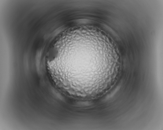 X0000113911121200910011443