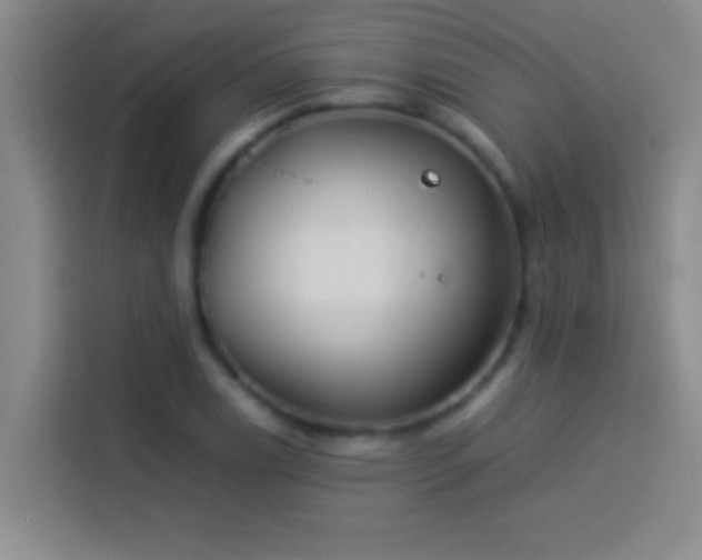 X0000113911122200910011443