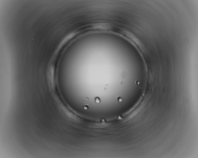 X0000113911123200910011443