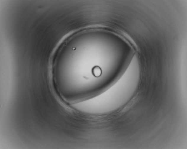 X0000113911124200910011443