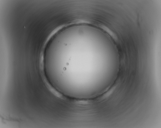 X0000113911126200910011443