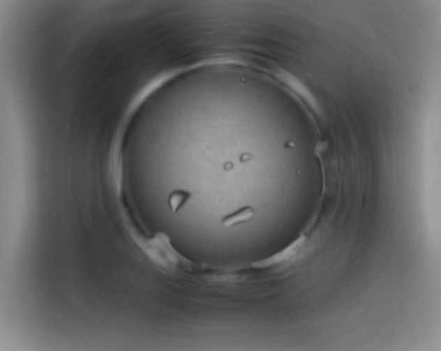 X0000113911127200910011443