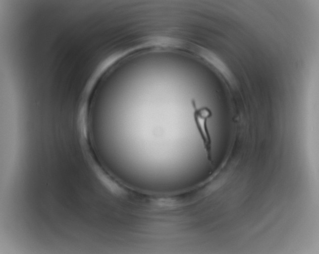 X0000113911128200910011443