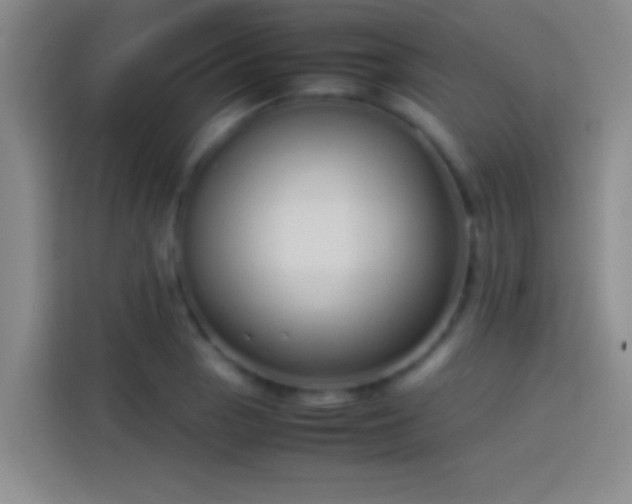 X0000113911129200910011443