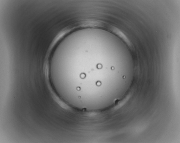 X0000113911130200910011443