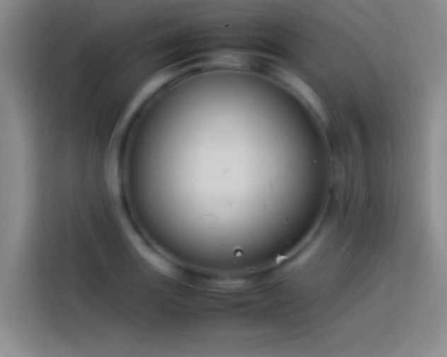 X0000113911131200910011443