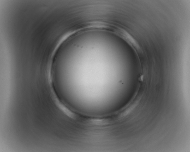 X0000113911132200910011443