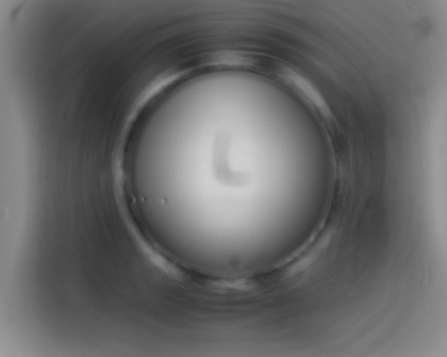 X0000113911133200910011443