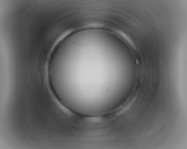 X0000113911134200910011443