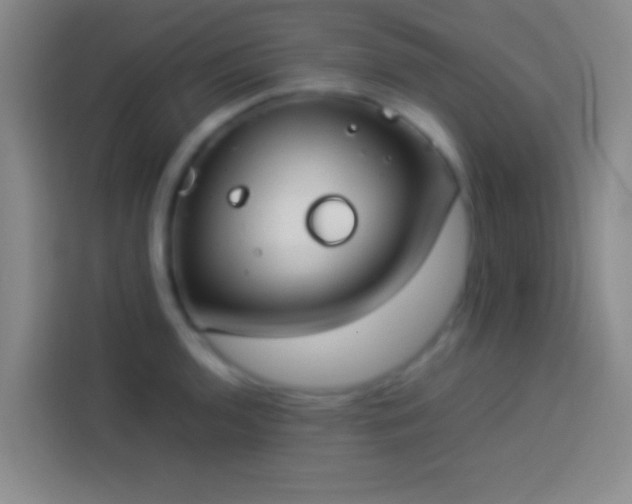 X0000113911136200910011443