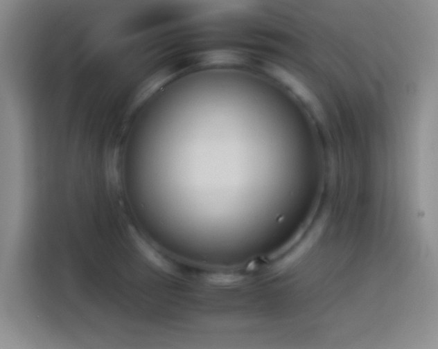 X0000113911137200910011443