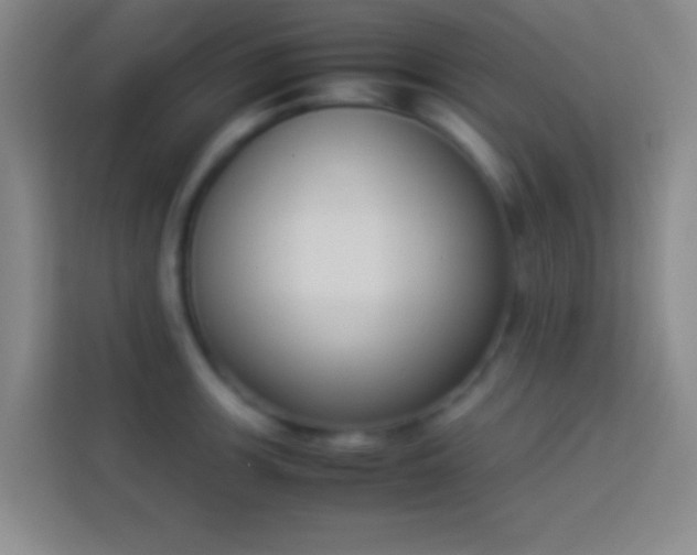 X0000113911139200910011443