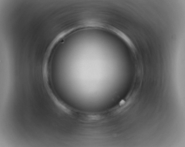 X0000113911144200910011443