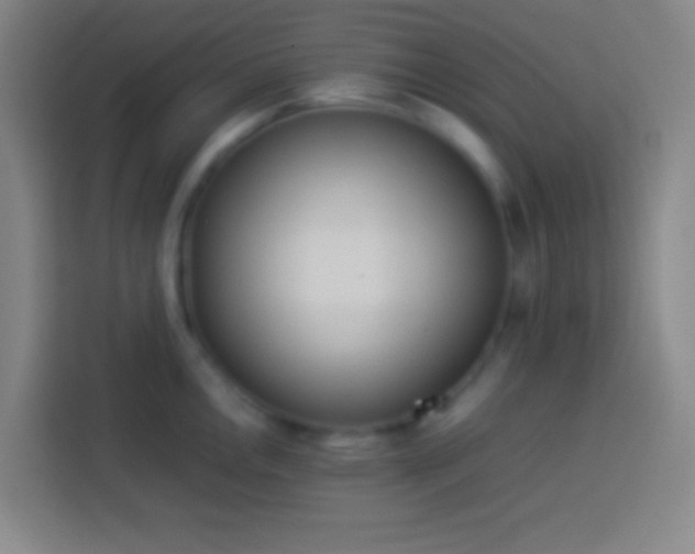 X0000113911146200910011444