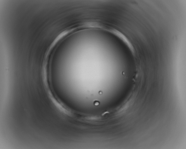 X0000113911147200910011444