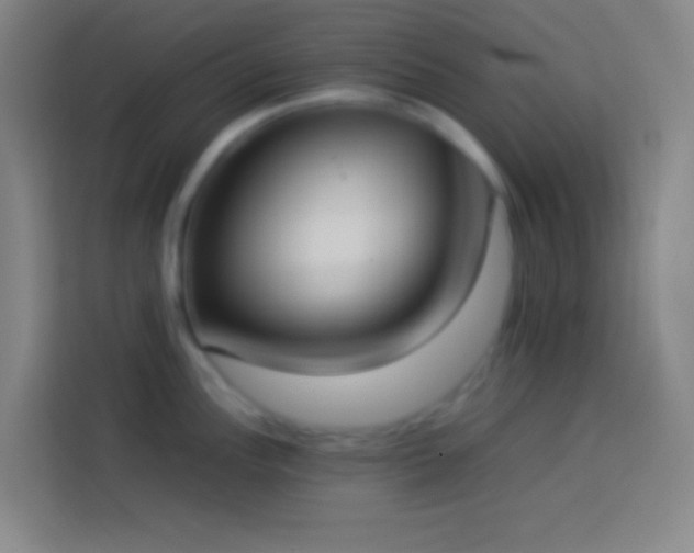 X0000113911148200910011444