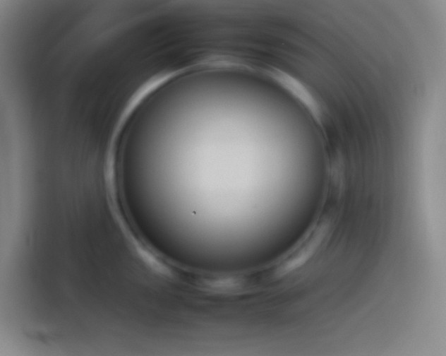 X0000113911149200910011444