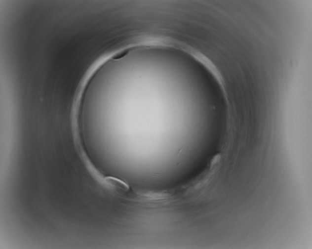 X0000113911152200910011444