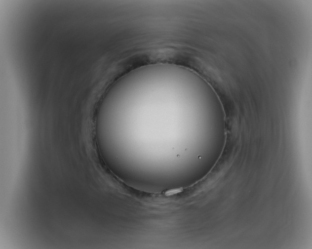 X0000113911153200910011443