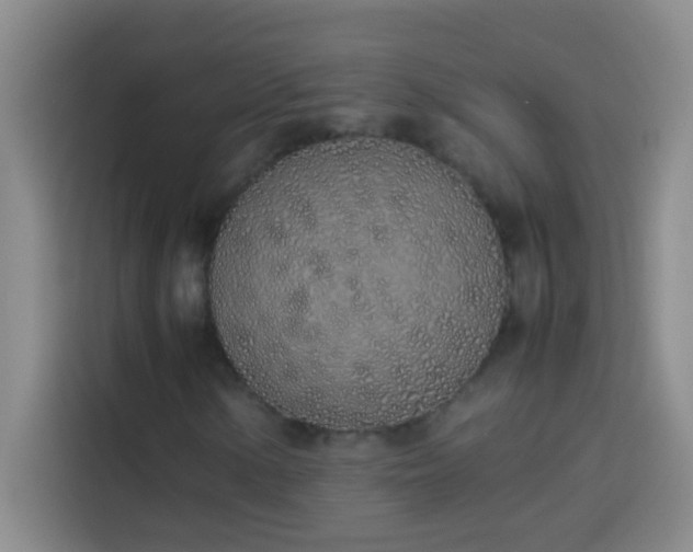 X0000113911154200910011443