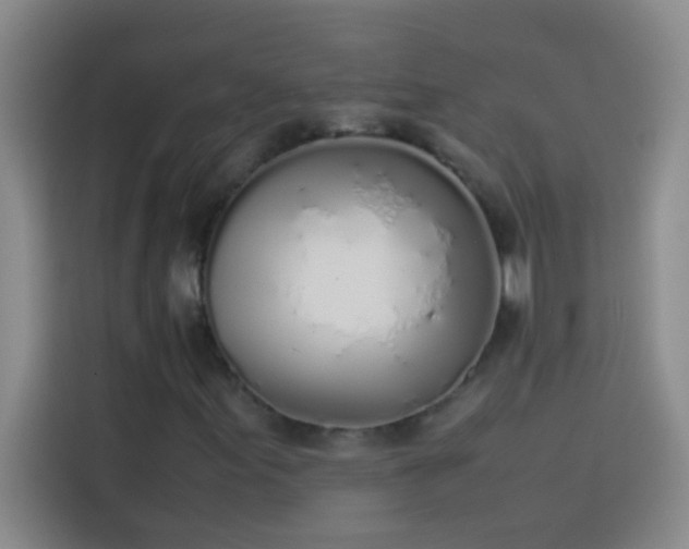 X0000113911155200910011443