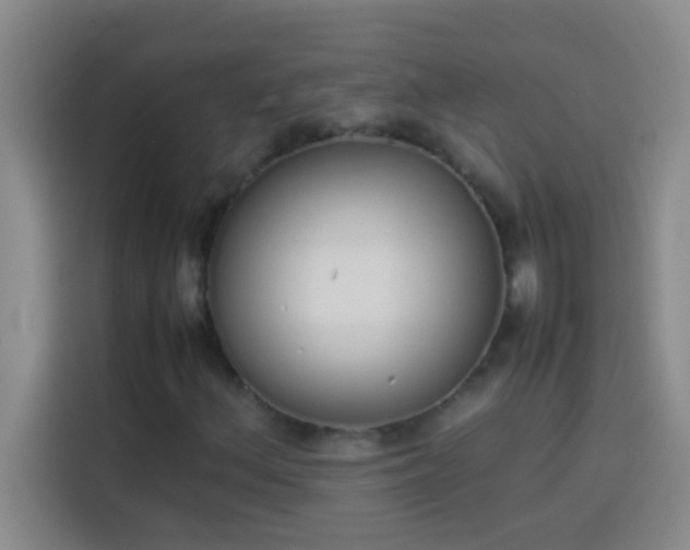 X0000113911156200910011443