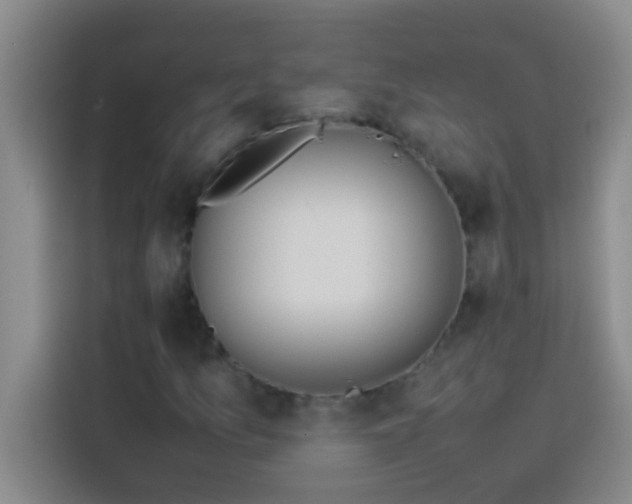 X0000113911157200910011443