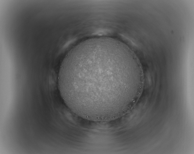 X0000113911158200910011443