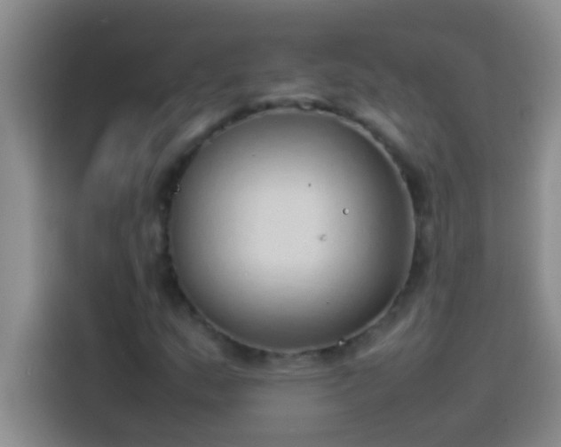 X0000113911159200910011443