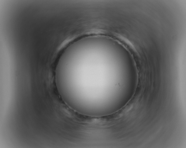 X0000113911160200910011443