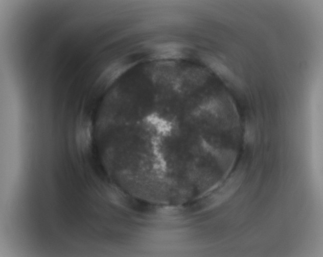 X0000113911161200910011443