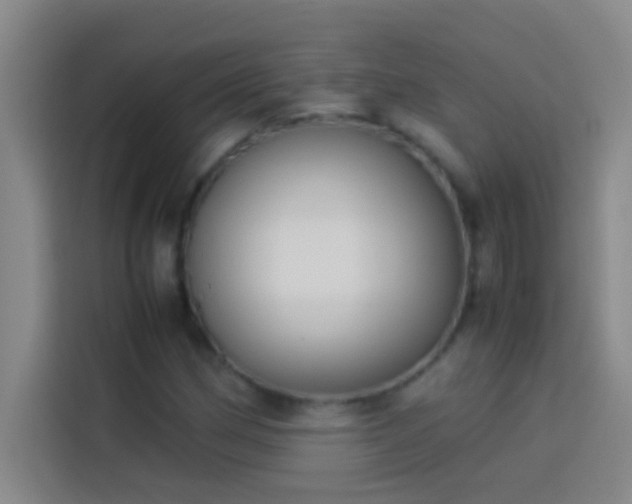 X0000113911162200910011443