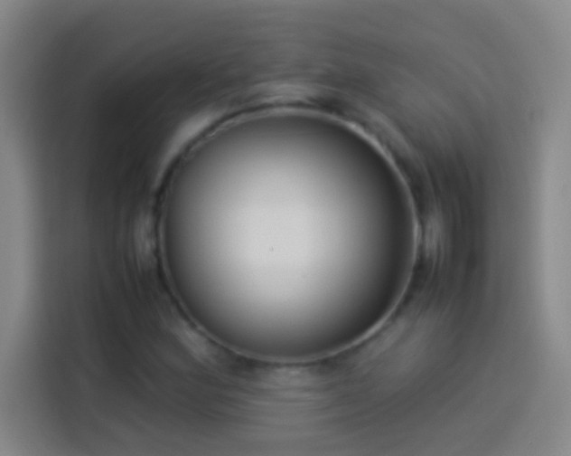 X0000113911164200910011443