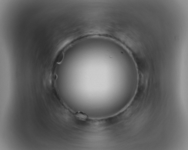 X0000113911165200910011443