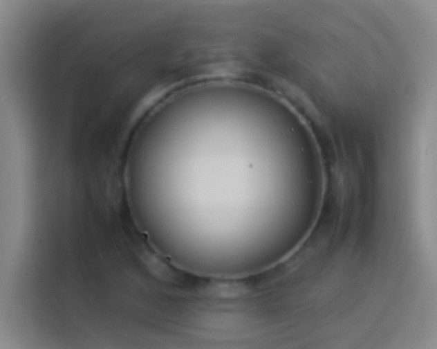 X0000113911168200910011443