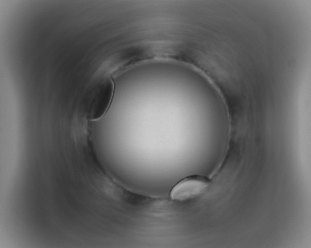 X0000113911169200910011443