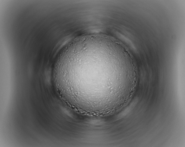 X0000113911170200910011443