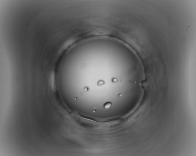 X0000113911171200910011443