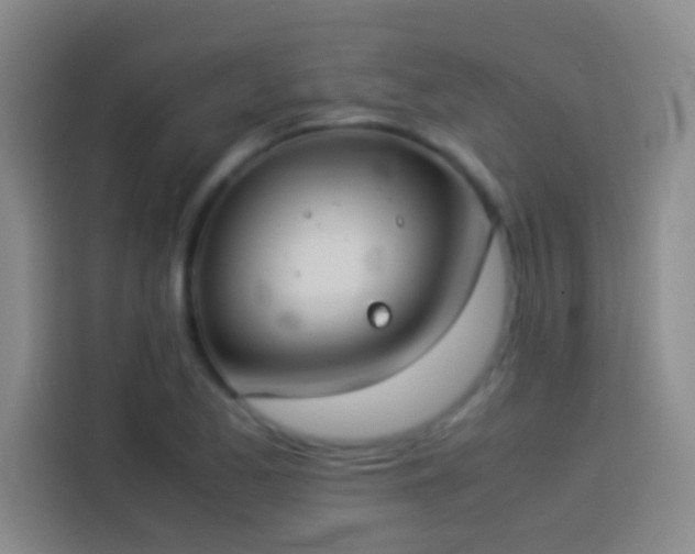 X0000113911173200910011443