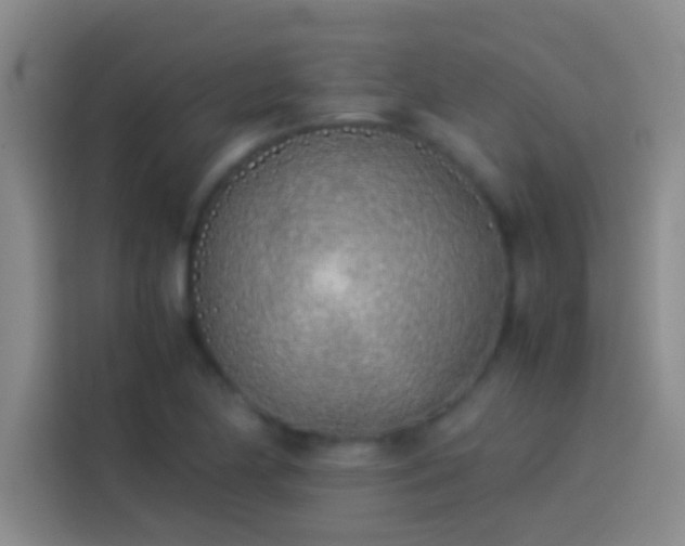 X0000113911174200910011443