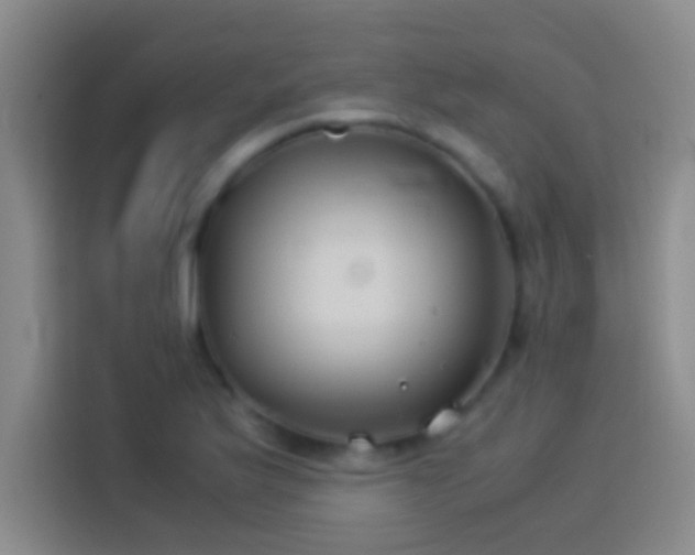 X0000113911175200910011443